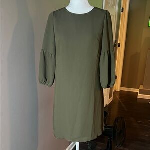 Ann Taylor Olive Green Women's Dress